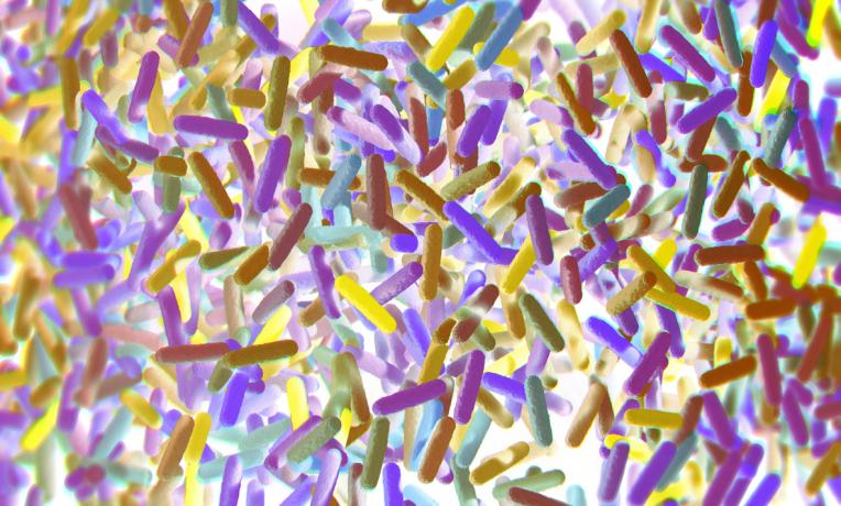 Cover image of Microbiome research: Getting the big picture on microorganisms