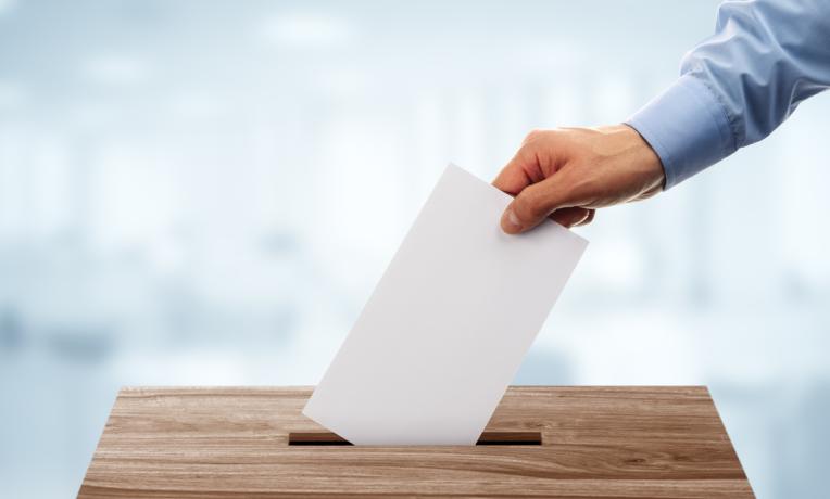Cover image of Inside the mind of a voter Cover image of Inside the mind of a voter