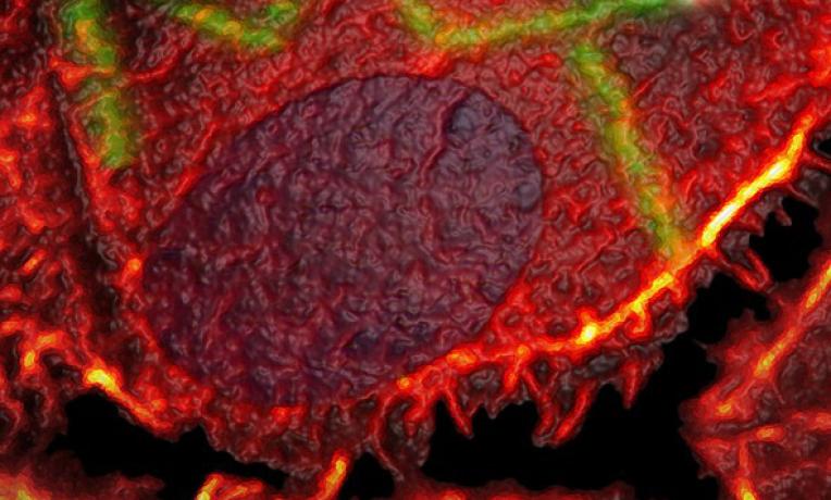 Cover image of Molecular tattooing for local, targeted drug-delivery