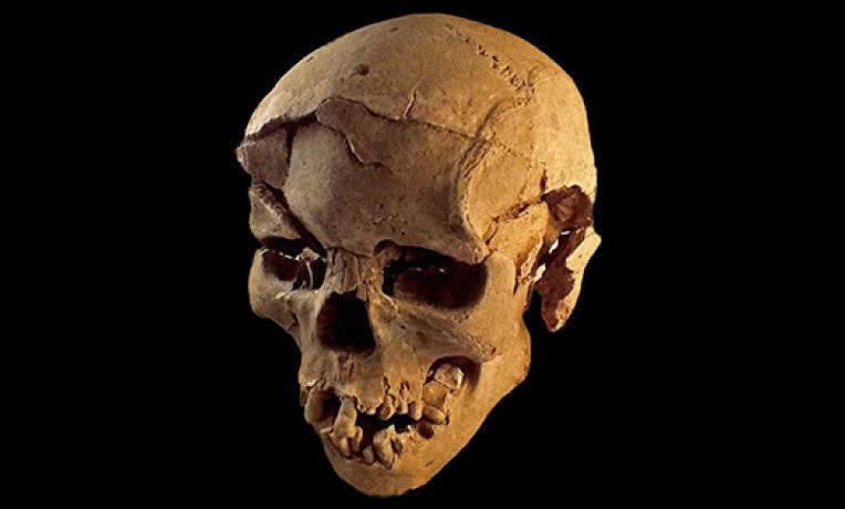 Cover image of Discovery in Kenya sheds light on the origins of warfare