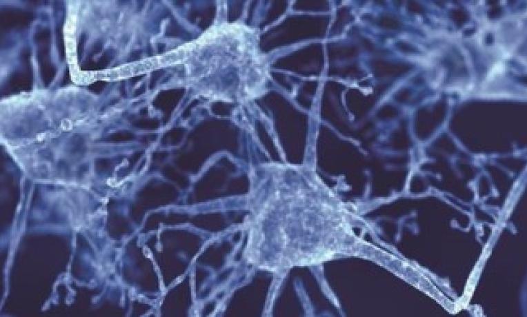 Cover image of ERC grantee and regional government to set up gene therapy centre Cover image of ERC grantee and regional government to set up gene therapy centre