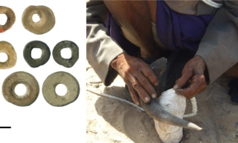 Cover image of Modern human culture could have emerged 44,000 years ago