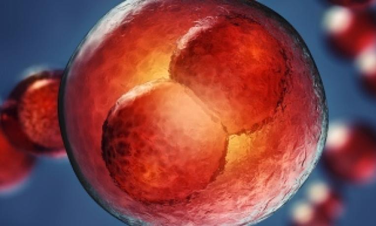Cover image of Towards better reproductive technologies and safer pregnancies Cover image of Towards better reproductive technologies and safer pregnancies