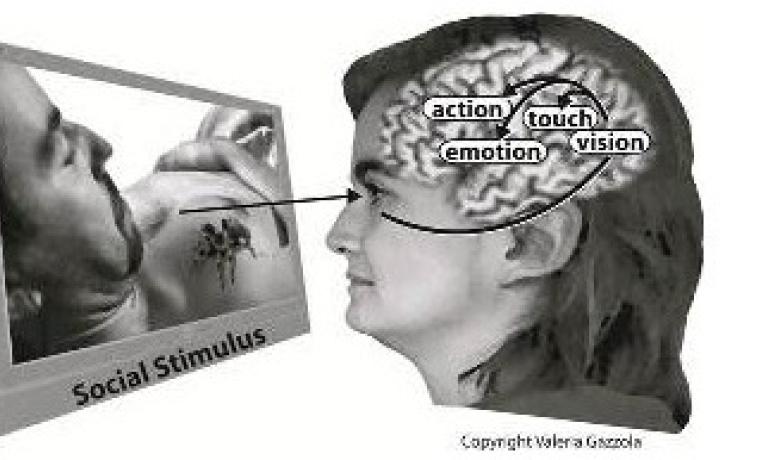 Cover image of Vicarious brain: In search of how your brain feels Cover image of Vicarious brain: In search of how your brain feels