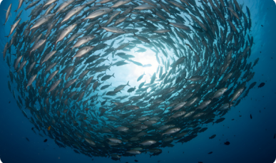 Who controls the science of the high seas? 