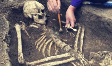 Cover image of Biting into ancient DNA