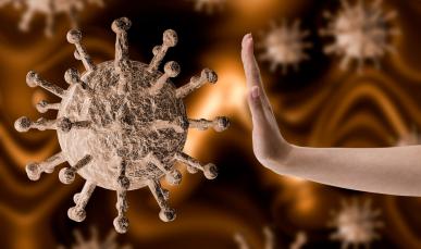 Cover image of Frontier research at the service of the coronavirus epidemic response Cover image of Frontier research at the service of the coronavirus epidemic response