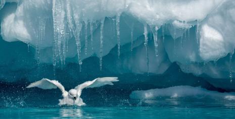 Climate stories from frozen archives