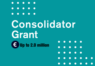 Cover of Consolidator Grant Cover of Consolidator Grant