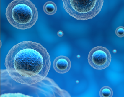 Cover image of Building a multi-level simulation of organogenesis