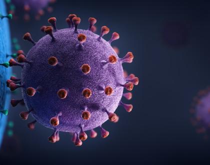 How viruses invade cells How viruses invade cells