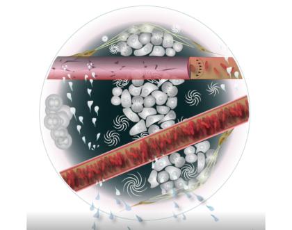 Drug delivery Drug delivery