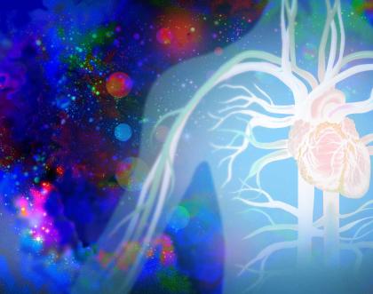 Helping the heart to heal itself Helping the heart to heal itself
