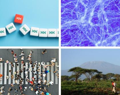 Synergy Grants 2025 Examples of projects