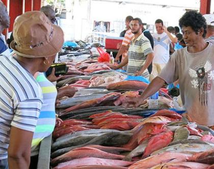 Cover image of Bet on fish to tackle malnutrition 
