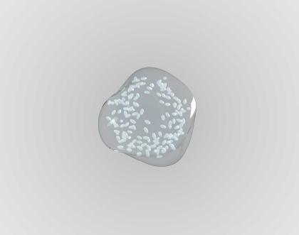 Cover image of Building intelligent cell-inspired microrobots