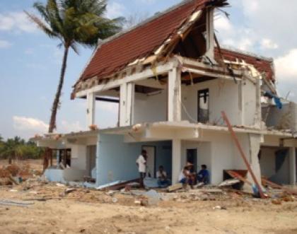 Cover image of The aftermath of a tsunami
