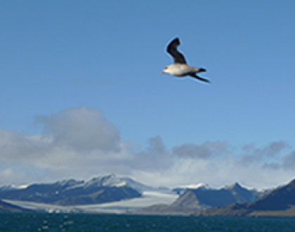 Cover image of From blue ocean to icy clouds