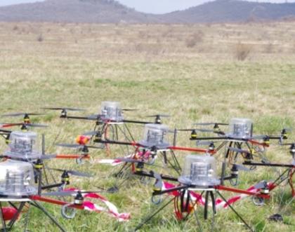 Cover image of Flocking drones, swarming pigeons