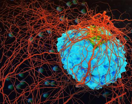 Cover image of Spotting the killjoy cell