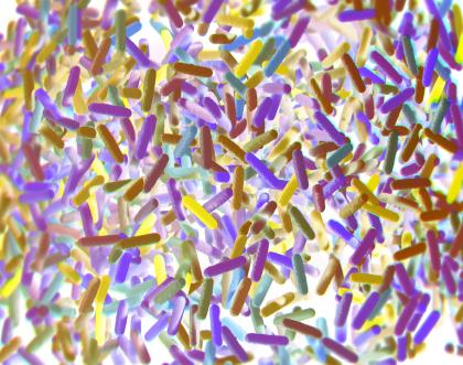 Cover image of Microbiome research: Getting the big picture on microorganisms