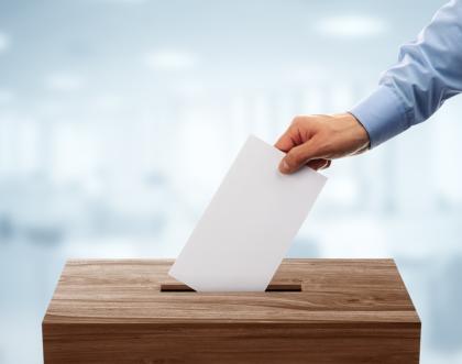 Cover image of Inside the mind of a voter