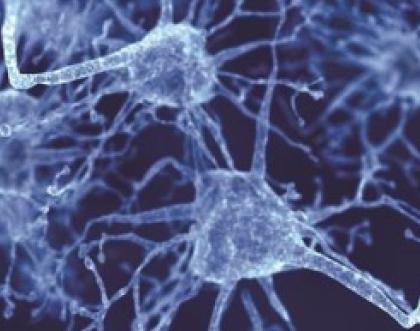 Cover image of ERC grantee and regional government to set up gene therapy centre