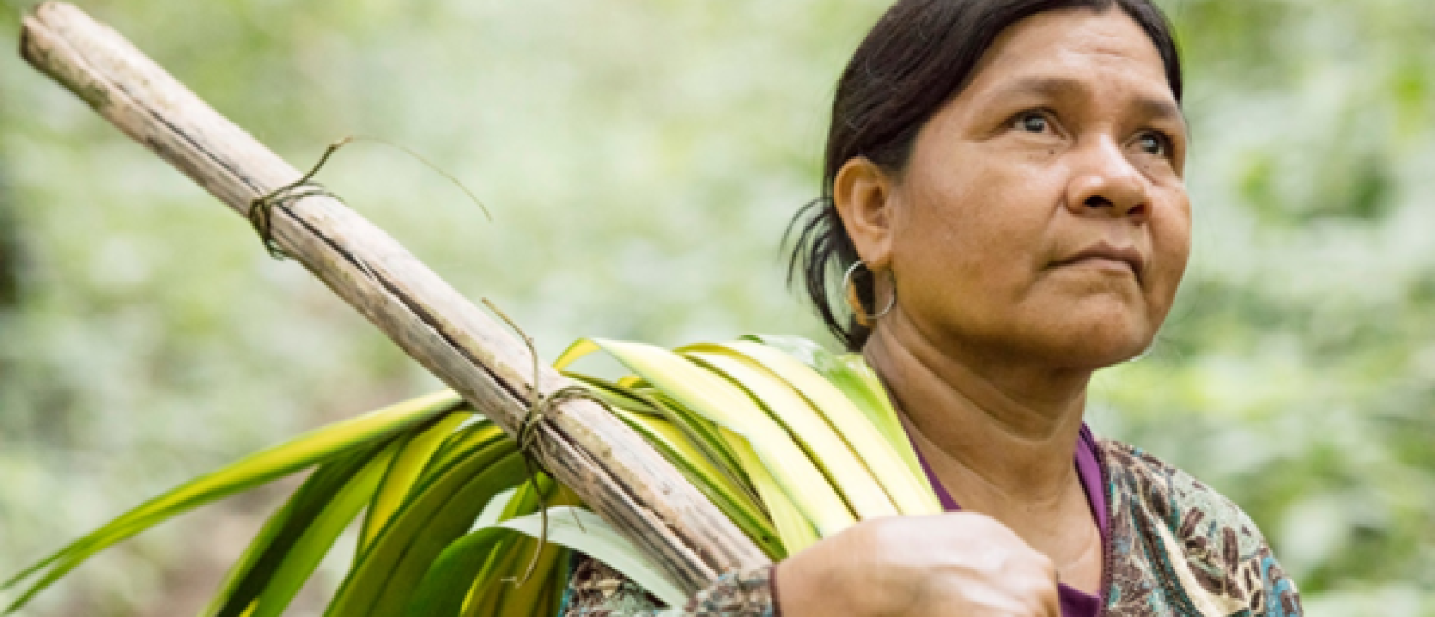 Bringing Indigenous and local knowledge to climate change research Bringing Indigenous and local knowledge to climate change research