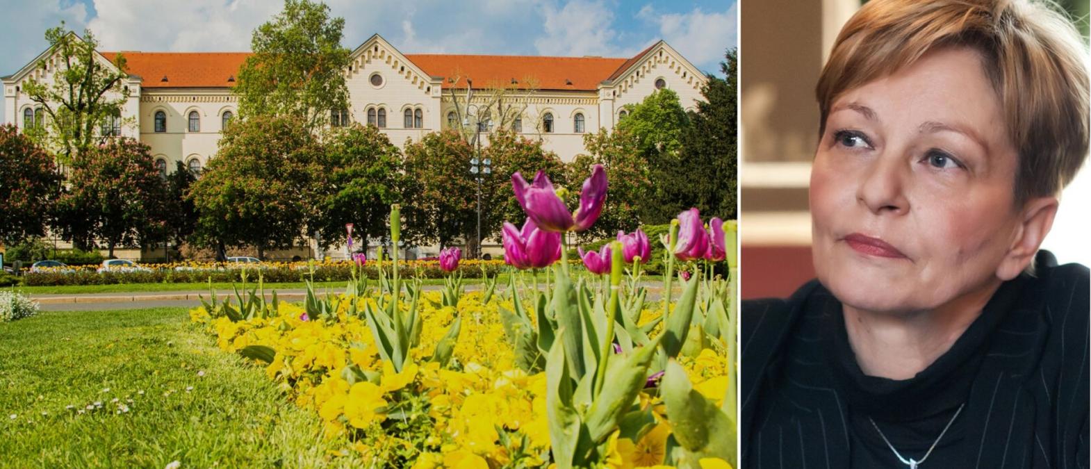 Cover image of ERC welcomes the first Croatian member of the Scientific Council Cover image of ERC welcomes the first Croatian member of the Scientific Council