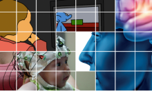 Cognitive psychology