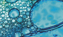 Computational biology