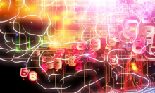 Human brain