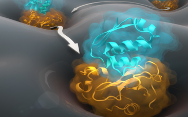 Cover image of Secrets of protein interactions unveiled