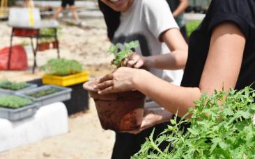 Cover image of Food sharing puts sustainability on the menu
