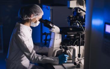 Evolutionary findings help explain origin of organs