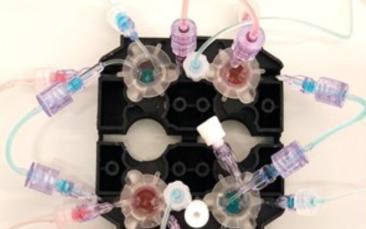 First engineered platform to model microbiota-gut-brain axis