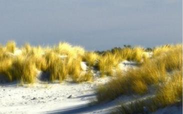Dunes