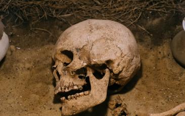 Prehistoric diseases shed light on human migration
