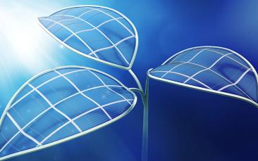 Harnessing semi-artificial photosynthesis to create sustainable chemicals and fuels