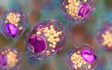 A new way to treat lupus and sepsis?