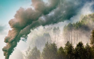 Unpicking the links between warming climate and habitat fragmentation
