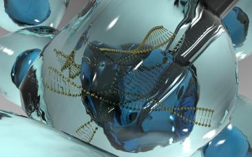 Cover image of Cell and gene therapy: first EIC-ERC workshop held 