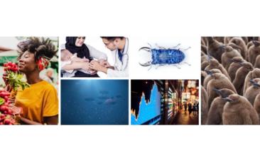 Cover image of ERC Starting Grants 2020: €677 million awarded to unravel scientific mysteries