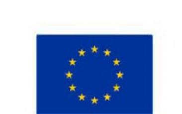 Cover image of Webinar Series 2021 Euraxess Worldwide & ERC: Grants for top researchers from anywhere in the world