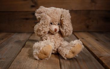 Cover image of Keeping children safe in stressful times