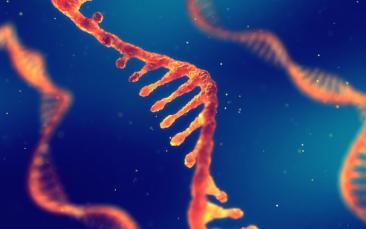 Cover image of Breaking the code of how viruses invade cells