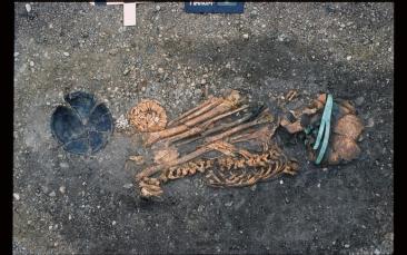 Cover image of A new look into prehistoric motherhood