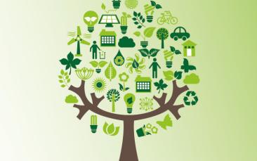 Cover image of Frontier research for the Green Deal: Driving forward Europe’s climate ambitions through innovation and transformation