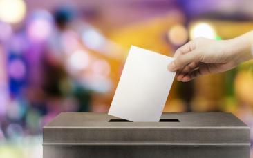 Cover image of High voter turnout or a no-show? Game theory offers insights