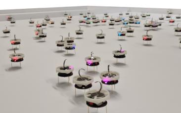 Cover image of How honeybees can help swarm robots – and us – make better decisions